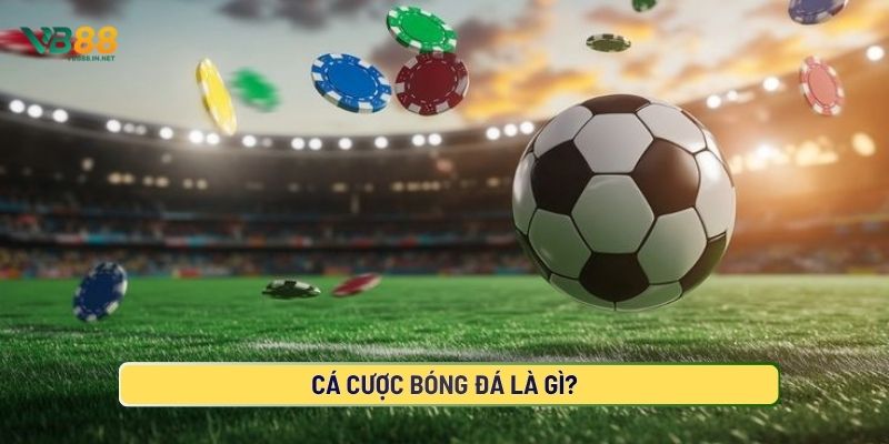Cá Cược Bóng Đá Bí Kíp Soi Kèo 2026 3 Tìm hiểu về cá cược bóng đá là gì?