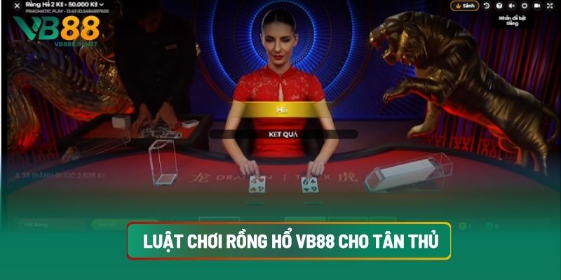 Luật Chơi Rồng Hổ VB88 Cho Tân Thủ